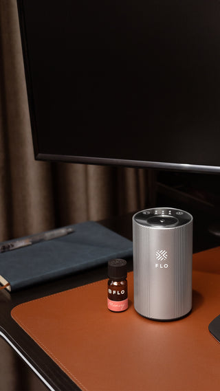 Satin Silver Diffuser Go on top of a work desk.