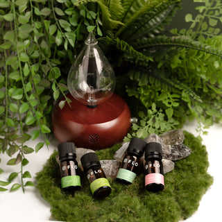 Raindrop Glass Chamber and Cherry Wood Base with the Repel Essential Oil Collection.