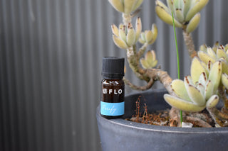 FLO Purify Essential Oil Pot Plant