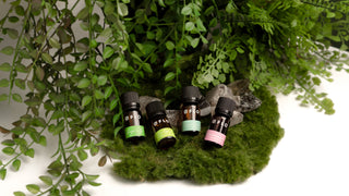 Bugs Off, Eucalyptus Lemon, Peppermint, and Geranium Essential Oils.