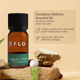Eucalyptus Globulus Essential Oil
