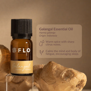 Galangal Essential Oil