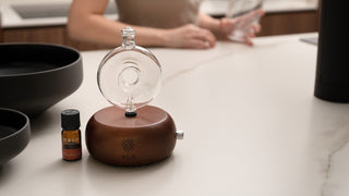 FLO Diffuser Home on a kitchen counter.