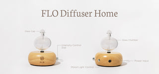 The different parts of the FLO Diffuser Home.