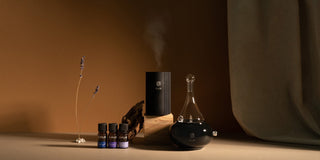 FLO Diffuser Home and Go with the Sleep Essential Oil Collection.