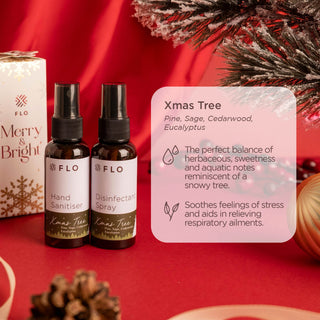 Hand Sanitiser & Disinfectant Spray - Christmas Edition
