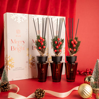 Reed Diffuser - Christmas Edition