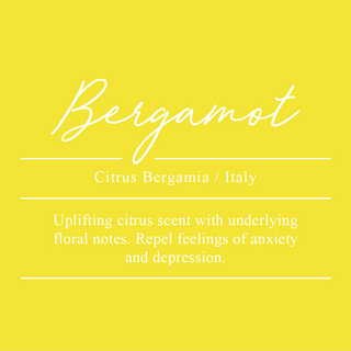 Bergamot, Citrus bergamia. Sourced from Italy. An uplifting citrus scent with underlying floral notes. Repels feelings of anxiety and depression.