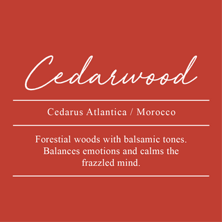 Cedarwood, Cedrus atlantica. Sourced from Morocco. Forestial woods with balsamic tones. Balances emotions and calms the frazzled mind.