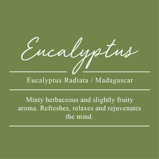 Eucalyptus, Eucalyptus radiata. Sourced from Madagascar. A minty herbaceous and slightly fruity aroma. Refreshes, relaxes, and rejuvenates the mind.