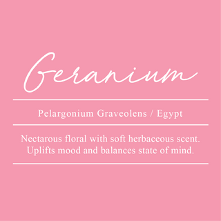 Geranium, Pelargonium graveolens. Sourced from Egypt. A nectareous floral with soft herbaceous scent. Uplifts mood and balances the state of mind.