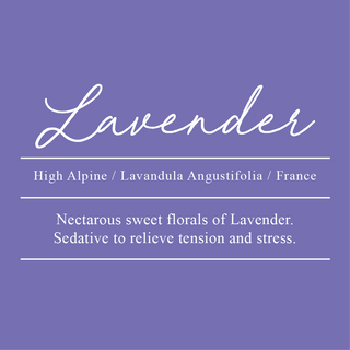 Lavender High Alpine, Lavandula angustifolia. Sourced from France. Nectareous sweet florals of Lavender. Sedative to relieve tension and stress.