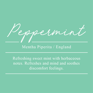 Peppermint, Mentha piperita. Sourced from England. A refreshing sweet mint with herbaceous notes. Refreshes and mind and soothe feelings of discomfort.