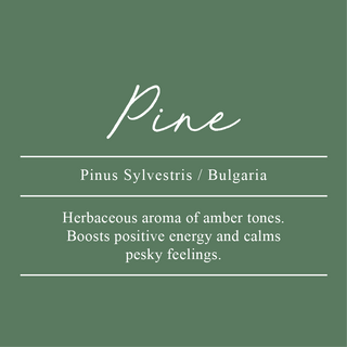 Pine, Pinus sylvestris. Sourced from Bulgaria. An herbaceous aroma of amber tones. Boosts positive energy and calms pesky feelings.