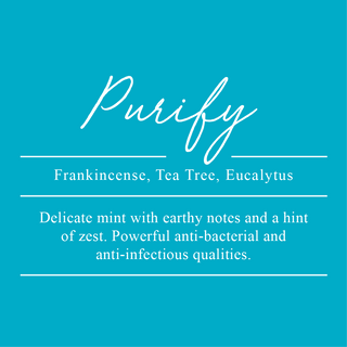 Purify Essential Oil Blend. A blend of Frankincense, Tea Tree, and Eucalyptus. A delicate mint with earthy notes and a hint of zest. Powerful anti-bacterial and anti-infectious qualities.